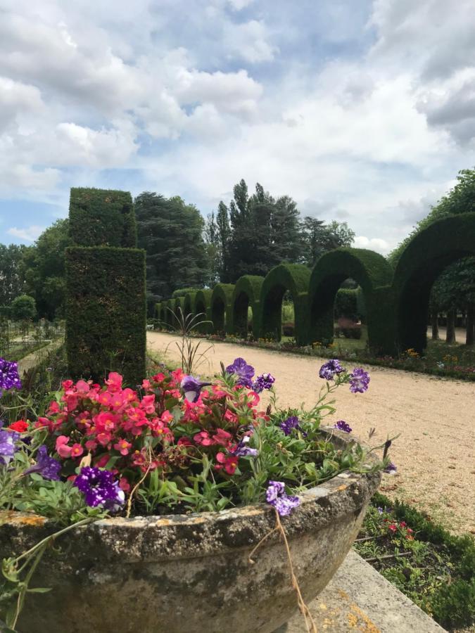 Sweet Discovery & Jungle Bourges Extérieur photo